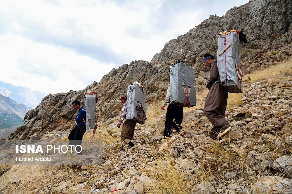 دفتر سینمایی