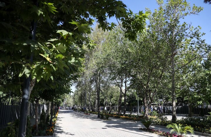 دفتر سینمایی