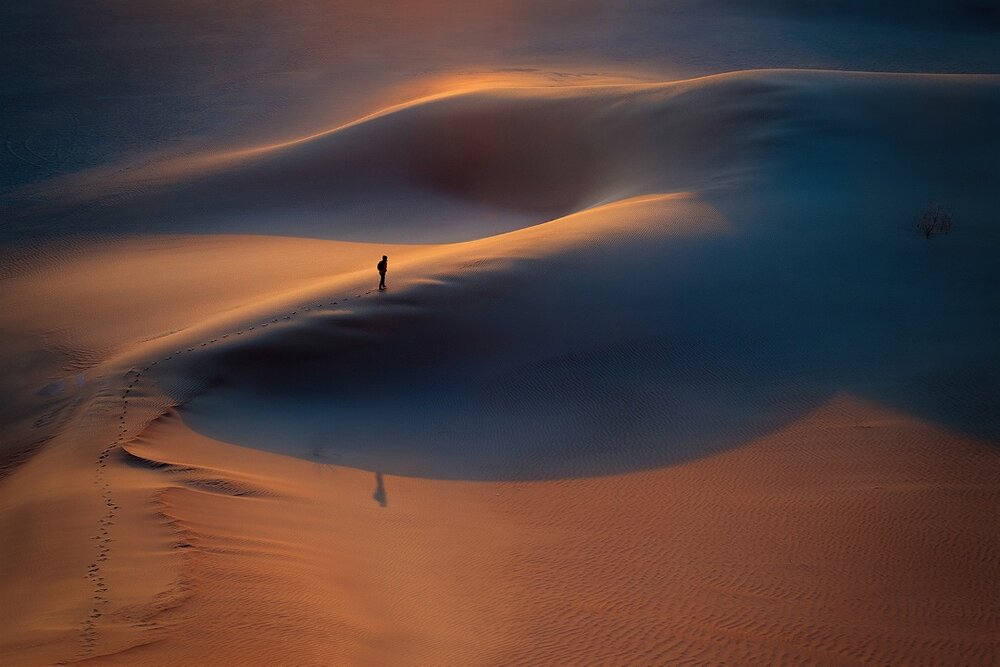 دفتر سینمایی