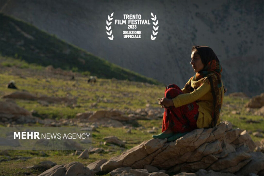 دفتر سینمایی
