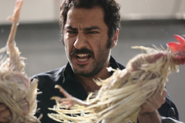 دفتر سینمایی